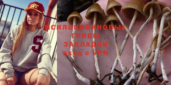 прущая мука Михайлов