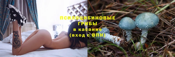прущая мука Михайлов